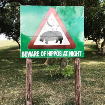 Kijk uit voor nijlpaarden in St Lucia, Zuid-Afrika